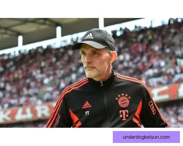 图赫尔战术适应能力持续提升，执教表现稳健